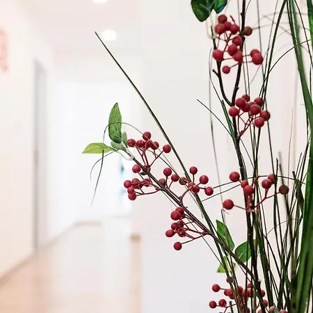 Apartamento Haus Haslauer Strobl