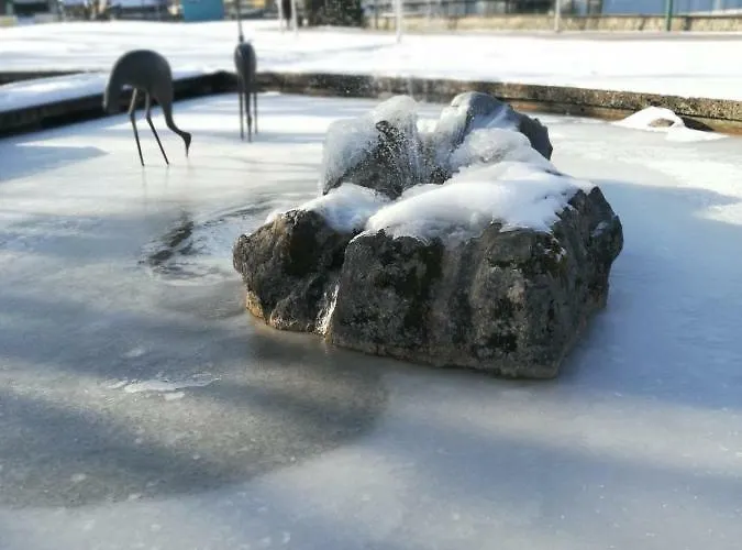 Haus Haslauer Apartment *