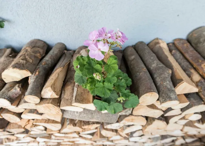 Haus Haslauer Apartment *