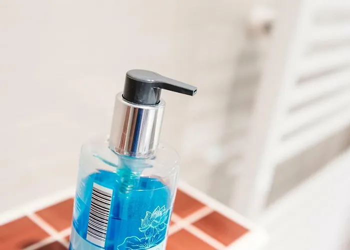 Haus Haslauer Apartment *