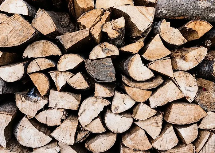 Apartment Haus Haslauer